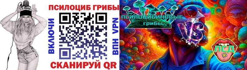 продажа наркотиков mega рабочий сайт Псилоцибиновые грибы Magic Shrooms Кубинка
